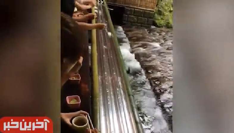 رستورانی خلاقانه در دل طبیعت!