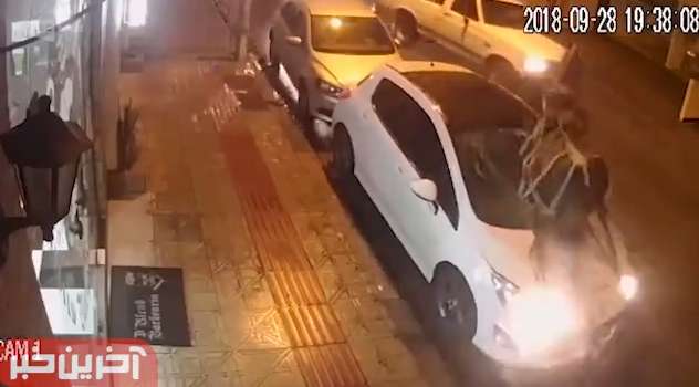 وقتی یک اسب شاخ به شاخ بخوره به ماشینت!