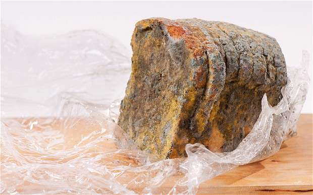 حمله میکروب‌ها به غذا!