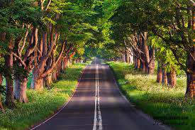 یک جرعه طبیعت بکر در مسیر رویایی اسالم به خلخال