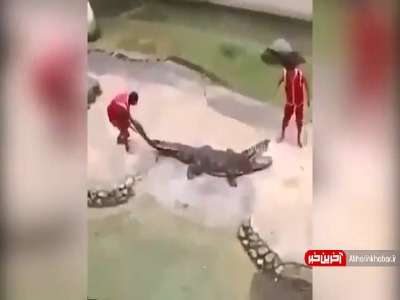 زهر چشم گرفتن تمساح!