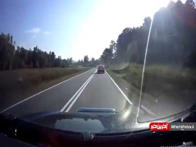 تصادف وحشتناک گوزن با خودرو