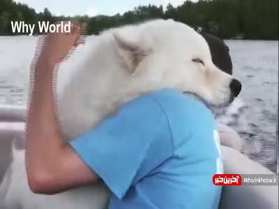 ویدئویی دیدنی از احساساتی شدن حیوانات