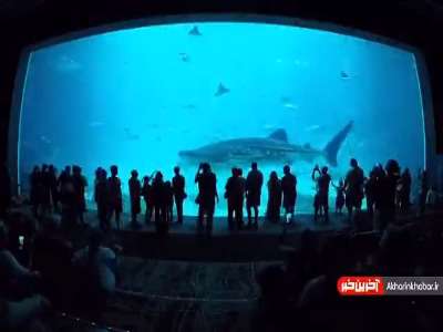 بزرگترین آکواریوم دنیا در آمریکا