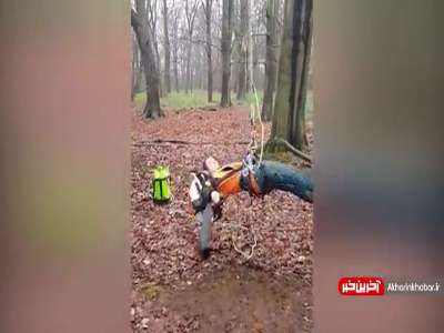 وقتی رئیس نمیاد سرکار