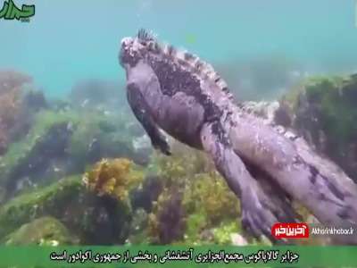 بهشت تنوع‌زیستی جهان را ببینید