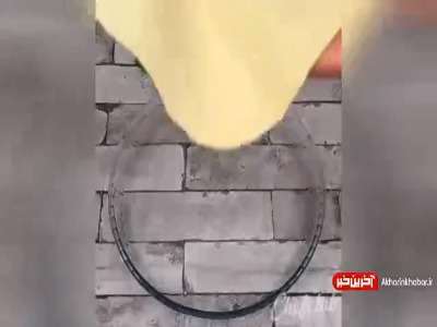 تارت سبزیجات پنیری