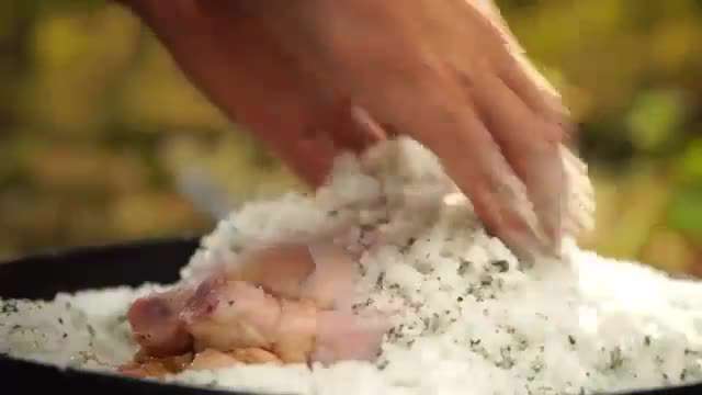 آشپزی در طبیعت: مرغ نمکی خوشمزه