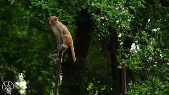 تصاویر بسیار زیبا و دیدنی از دنیای حیوانات