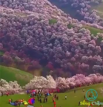 یکی از زیباترین باغ‌های جهان