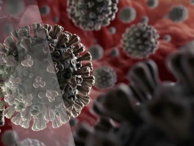 ثبت رکورد 453 مورد فوت امریکا