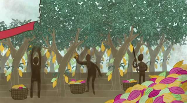 تاریخچه تلخ قهوه؛ قهوه اولین بار در کدام کشور تولید شد؟