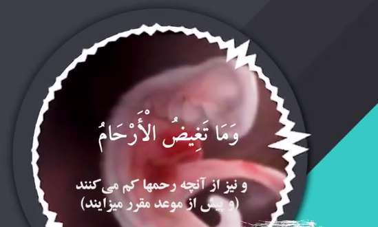 اللَّهُ يَعْلَمُ مَا تَحْمِلُ كُلُّ أُنْثَىٰ؛ آیات 8 و 9 سوره رعد