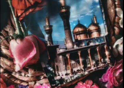 استوری آقامون امام رضا(ع) صاحب پسر شده | میرداماد