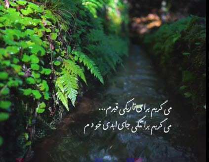 کلیپ استوری فرازی از مناجات شعبانیه