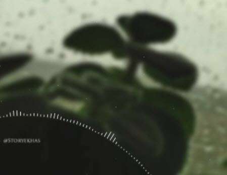 موزیک استوری حلالم کن با صدای محسن چاوشی