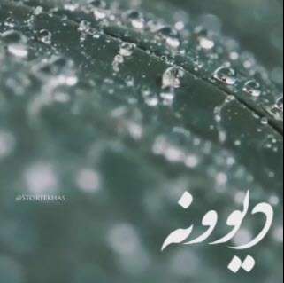 استوری عاشقانه دیوونه؛ محسن چاوشی