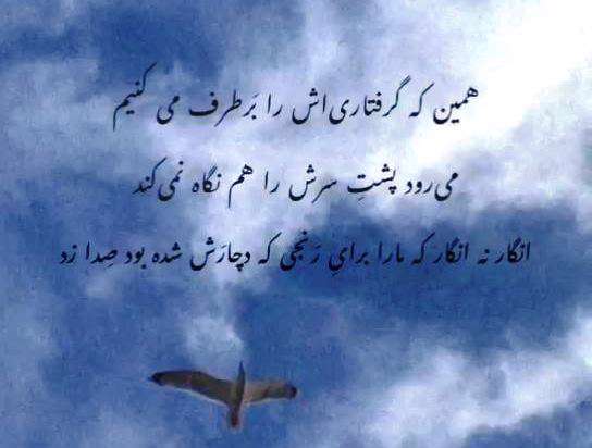 کلیپ استوری کوتاه 15 ثانیه ای از برداشت آزاد از ترجمه قرآن