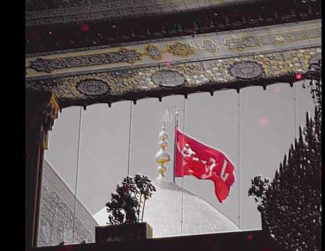 استوری مداحی دیوونه کربلاتم با صدای عبدالرضا هلالی