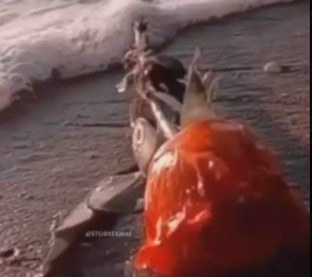 موزیک استوری ای کاش؛ حسین توکلی