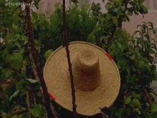 ای عاقلان بوی گیسویی مرا دیوانه کرد؛ کلیپ استوری از علیرضا قربانی