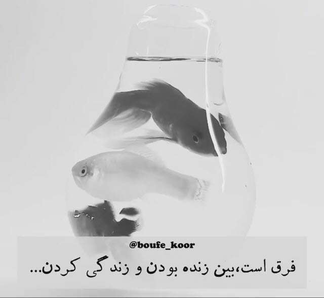 فرق است بین زنده بودن و زندگی کردن