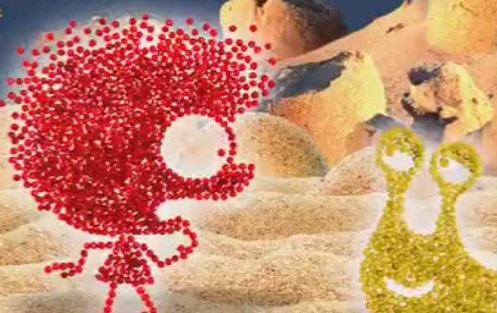 کارتون شن دونه ها؛ خانه حلزون کجاست