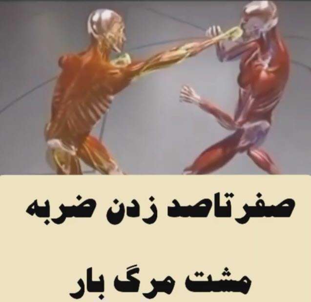 آموزش دفاع شخصی؛ ضربه مشت مرگبار