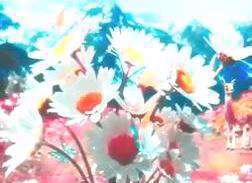 کلیپ استوری؛ سلام صبح بخیر