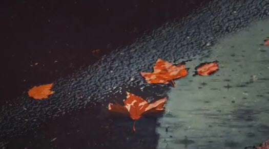 پست اینستاگرام غمگینی پاییز