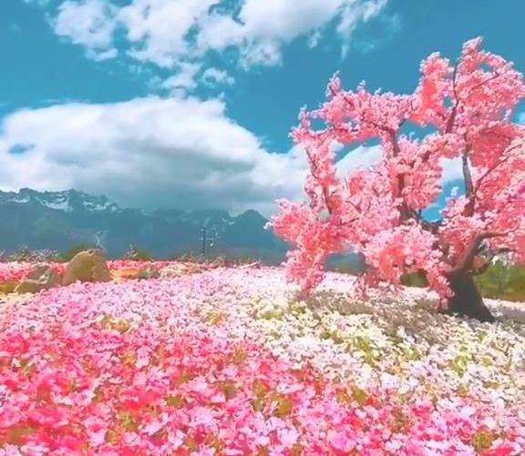 کلیپ زیبای «صبح بخیر» برای وضعیت واتساپ