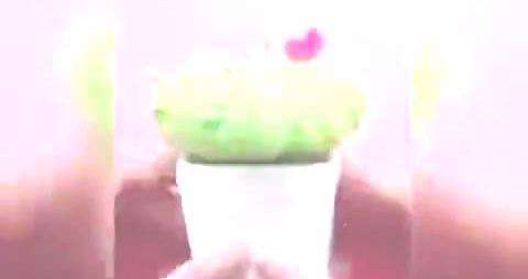 آموزش کاردستی جاسوزنی کاکتوسی برای خیاطی