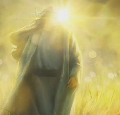 استوری تاج گذاری حضرت حجت؛ محسن چاوشی