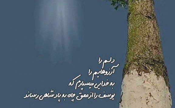 دلم را بخدا می سپارم؛ کلیپ شب بخیر برای وضعیت