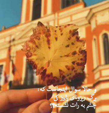 برگ ریزون پاییزی؛ کلیپ استوری