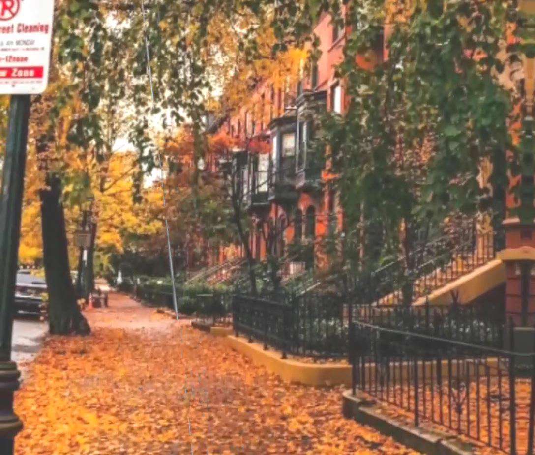 وضعیت واتساپ پاییزی برای دوستداران زیبایی