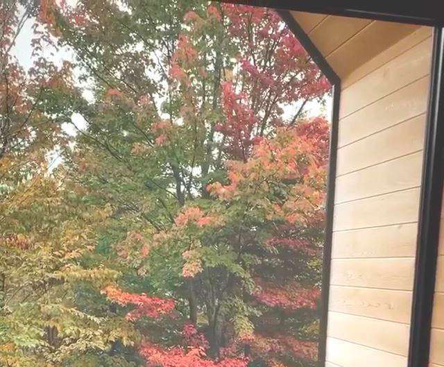 کلیپ زیبایی های فصل هزار رنگ برای وضعیت واتساپ