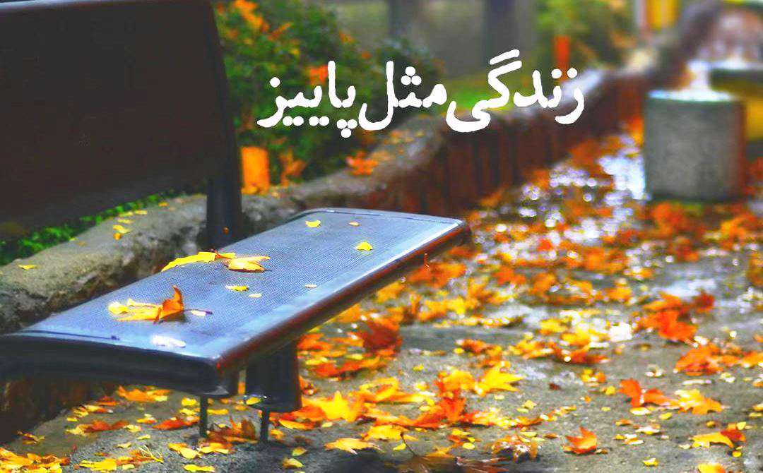 باد پاییز همه تعلقاتت را می برد؛ تکست کلیپ زیبای پاییزی برای وضعیت