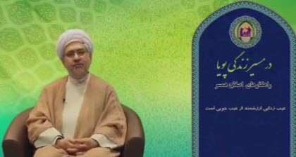 مقصود از اصلاح عیب زدایی است؛ استاد دهنوی