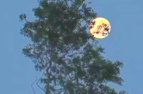 کلیپ شب بخیر غمگین برای وضعیت واتساپ