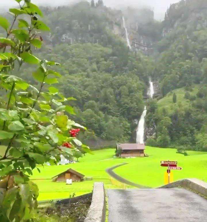 کلیپ استوری «سلام صبح بخیر» فوق العاده زیبا