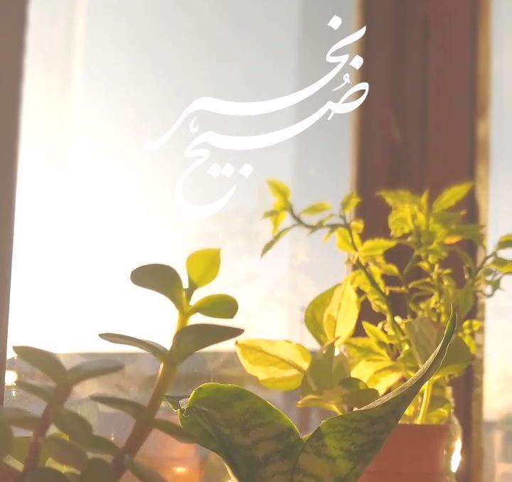 کلیپ استوری صبح بخیر عاشقانه