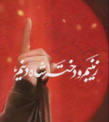 استوری زینبمو دختر شاه دینم؛ محمود کریمی