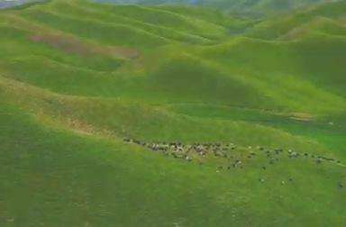 صحنه هایی ناب از طبیعت ایران