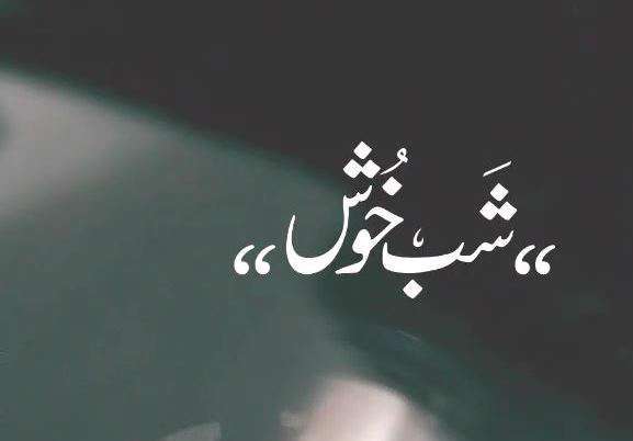 کلیپ استوری رمانتیک شب بخیر