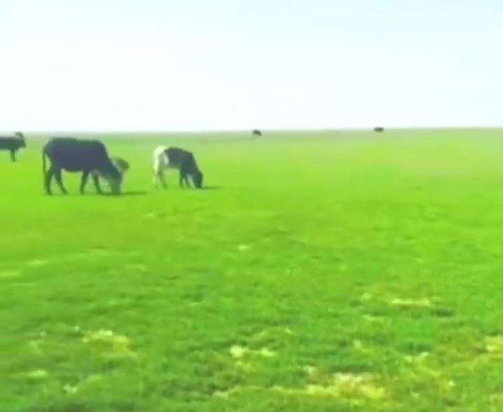 مسیر گردشگی سیستان کرمان