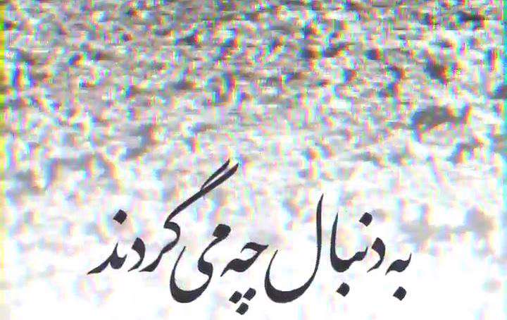 به دنبال چه می گردند؛ صابر خراسانی