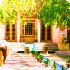 فرزندان ، چشم انداز خانه