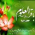ای گل زهرا ، مددی مولا