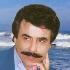 کبوتر خسته